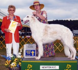 Majenkir borzoi store