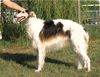 Profile picture of the animal