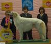 Profile picture of the animal