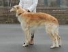 Profile picture of the animal