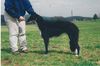 Profile picture of the animal