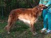 Profile picture of the animal