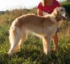 Profile picture of the animal