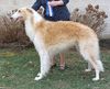 Profile picture of the animal