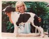 Profile picture of the animal