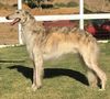 Profile picture of the animal