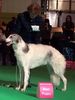 Profile picture of the animal