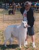 Profile picture of the animal