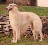 Profile picture of the animal