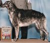 Profile picture of the animal