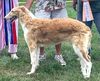 Profile picture of the animal