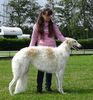 Profile picture of the animal