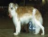 Profile picture of the animal