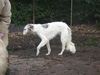 Profile picture of the animal