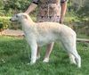 Profile picture of the animal