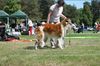 Profile picture of the animal