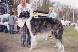 Profile picture of the animal