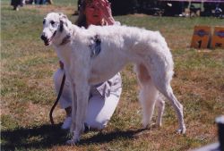 Profile picture of the animal