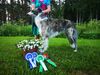 Profile picture of the animal
