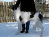Profile picture of the animal