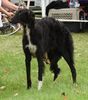 Profile picture of the animal