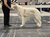 Profile picture of the animal