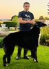 Profile picture of the animal