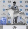 Profile picture of the animal