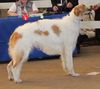 Profile picture of the animal