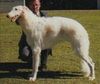 Profile picture of the animal