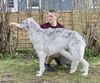 Profile picture of the animal