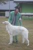 Profile picture of the animal