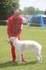 Profile picture of the animal
