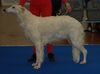 Profile picture of the animal