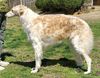 Profile picture of the animal