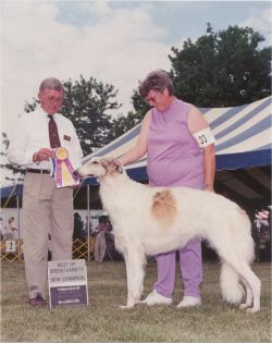 Profile picture of the animal