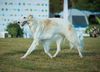 Profile picture of the animal