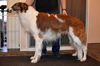 Profile picture of the animal