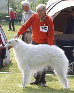 Profile picture of the animal
