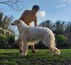 Profile picture of the animal