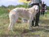 Profile picture of the animal