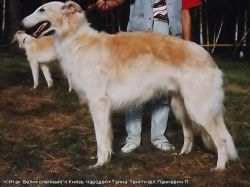 Profile picture of the animal