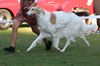 Profile picture of the animal