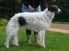 Profile picture of the animal