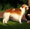 Profile picture of the animal