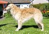 Profile picture of the animal