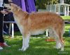 Profile picture of the animal
