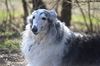 Profile picture of the animal