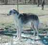 Profile picture of the animal