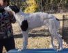 Profile picture of the animal